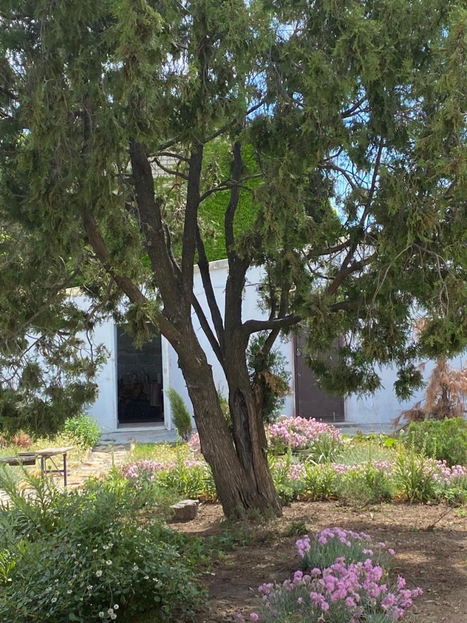 Bukhta Apart otel Vapniarka Dış mekan fotoğraf